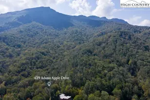 429 Adams Apple, Banner Elk, NC 28604 - Photo 5