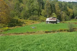 1411 Cabbage Creek Rd, Creston, NC 28615 - Photo 31