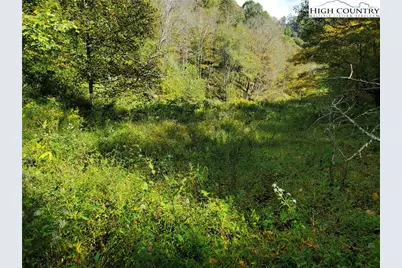 1411 Cabbage Creek Road, Creston, NC 28615 - Photo 35