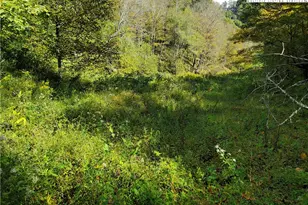 1411 Cabbage Creek Rd, Creston, NC 28615 - Photo 35