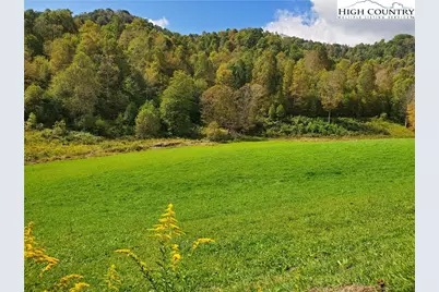 1411 Cabbage Creek Road, Creston, NC 28615 - Photo 39
