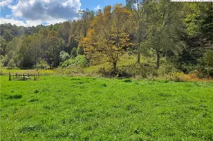 1411 Cabbage Creek Rd, Creston, NC 28615 - Photo 33