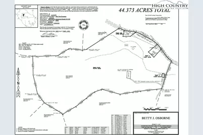 1411 Cabbage Creek Road, Creston, NC 28615 - Photo 5