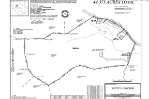 1411 Cabbage Creek Rd, Creston, NC 28615 - Photo 5