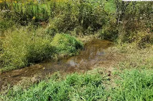 1411 Cabbage Creek Rd, Creston, NC 28615 - Photo 27