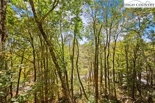 202 Cliffside Ln, Seven Devils, NC 28604 - Photo 43