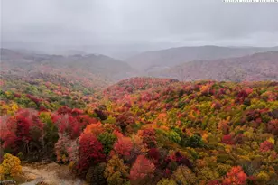 44 Camp Eagle Loop, Banner Elk, NC 28604 - Photo 31