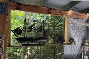 142 Tamarack Rd, Beech Mountain, NC 28604 - Photo 31