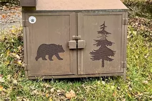 142 Tamarack Rd, Beech Mountain, NC 28604 - Photo 35