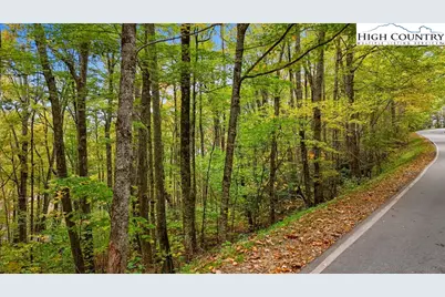 Lot 85 Wren Way, Banner Elk, NC 34990 - Photo 5