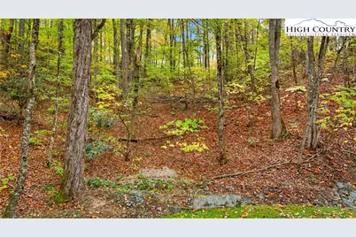 Lot 85 Wren Way, Banner Elk, NC 34990 - Photo 21
