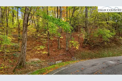 Lot 85 Wren Way, Banner Elk, NC 34990 - Photo 19