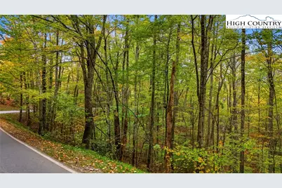 Lot 85 Wren Way, Banner Elk, NC 34990 - Photo 3