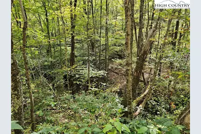 Lot 29 Lee Gualtney Road, Banner Elk, NC 28604 - Photo 7
