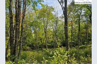 Lot 29 Lee Gualtney Road, Banner Elk, NC 28604 - Photo 5