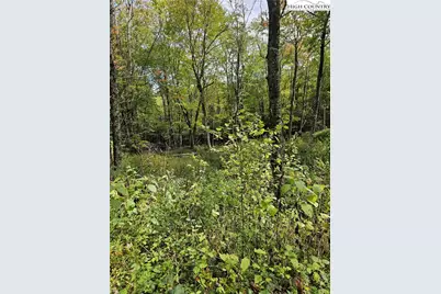 Lot 29 Lee Gualtney Road, Banner Elk, NC 28604 - Photo 5