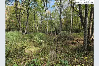 Lot 29 Lee Gualtney Road, Banner Elk, NC 28604 - Photo 3