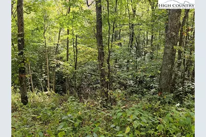 Lot 29 Lee Gualtney Road, Banner Elk, NC 28604 - Photo 7