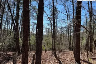 2500 Playmore Beach Rd, Lenoir, NC 28645 - Photo 1