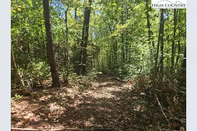 2500 Playmore Beach Road, Lenoir, NC 28645 - Photo 35