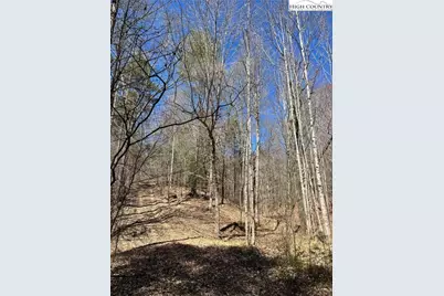 2500 Playmore Beach Road, Lenoir, NC 28645 - Photo 45