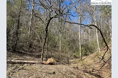 2500 Playmore Beach Road, Lenoir, NC 28645 - Photo 49