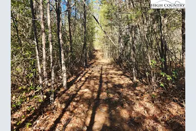 2500 Playmore Beach Road, Lenoir, NC 28645 - Photo 25