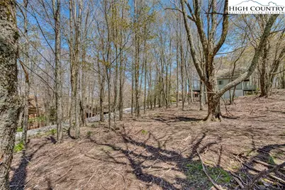 201 Grassy Gap Loop Road, Beech Mountain, NC 28604 - Photo 7