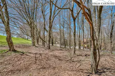 201 Grassy Gap Loop Road, Beech Mountain, NC 28604 - Photo 3