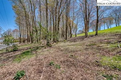 201 Grassy Gap Loop Road, Beech Mountain, NC 28604 - Photo 5