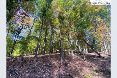 Tbd Maple Ridge Drive, Boone, NC 28607 - Photo 1