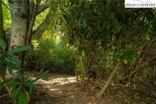 160 Manor View (12 5% Share) Ln, Blowing Rock, NC 28605 - Photo 31