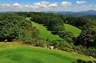 115 N Pinnacle Ridge Rd, Beech Mountain, NC 28604 - Photo 31