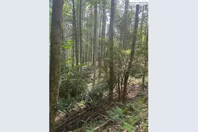 Lot 17 Sunny Lane, Crumpler, NC 28617 - Photo 1