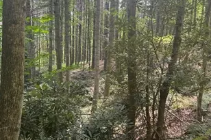 Lot 17 Sunny Ln, Crumpler, NC 28617 - Photo 1