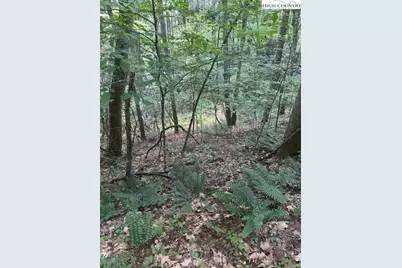 Lot 17 Sunny Lane, Crumpler, NC 28617 - Photo 7