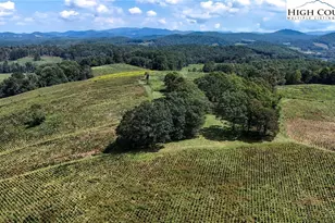 1046 J E Gentry Rd, Crumpler, NC 28617 - Photo 37