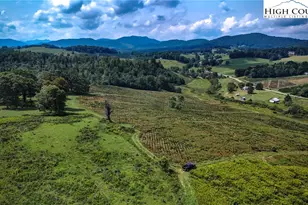 1046 J E Gentry Rd, Crumpler, NC 28617 - Photo 43