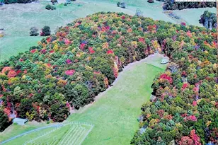 1046 J E Gentry Rd, Crumpler, NC 28617 - Photo 47