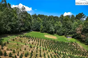 1046 J E Gentry Rd, Crumpler, NC 28617 - Photo 49