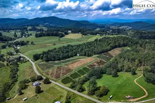 1046 J E Gentry Rd, Crumpler, NC 28617 - Photo 3