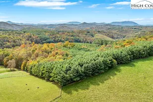 886 Blevins Hollow Rd, Piney Creek, NC 28663 - Photo 19