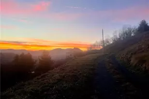 11 Wildflower Ln, Newland, NC 28657 - Photo 3