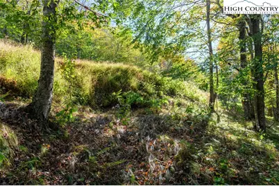 123 Briarwood Lane, Beech Mountain, NC 28604 - Photo 13