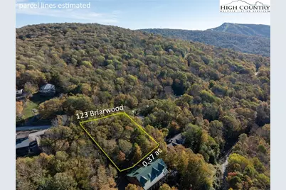123 Briarwood Lane, Beech Mountain, NC 28604 - Photo 11