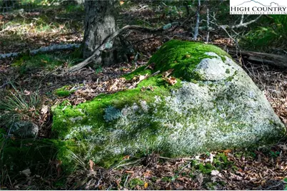 123 Briarwood Lane, Beech Mountain, NC 28604 - Photo 15