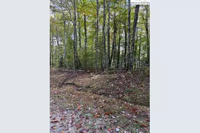 Lot 44A Buckeye Ridge Road, Beech Mountain, NC 28604 - Photo 1