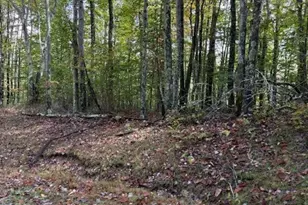 Lot 44A Buckeye Ridge Rd, Beech Mountain, NC 28604 - Photo 1