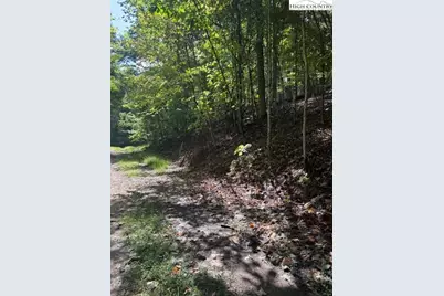 166 Wild Iris, Beech Mountain, NC 28604 - Photo 3