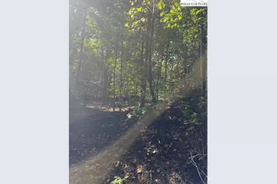 166 Wild Iris, Beech Mountain, NC 28604 - Photo 1